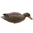 Final Approach Live Full Body Mallards 12pcs - Lokkende billeder / -diagram - 071617045602 - 11