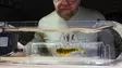 Flymen Fishing Co Fly Tester - Øvrige værktøjer - 7081385297462 - 10