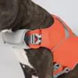 Hundra Dog Life Jacket - Hundjakker og -veste - 6438347048432 - 3