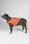 Hundra Dog Life Jacket - Hundjakker og -veste - 6438347048432 - 5