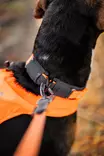 Non-stop Protector Collar #45 - Hundesnore - 7071652141512 - 4