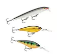Rapala Essentials Zander Sunny 2.0 - Agnsortimenter - 022677384092 - 2