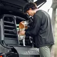 Thule Allax Double M Compact - Øvrige hundeprodukter - 197074757562 - 6