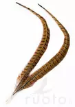 Veniard Cock Pheasant Centre Tails - Haler - 404503000022 - 1