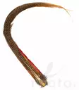 Golden Pheasant Complete Tail - Haler - 40450100022 - 3
