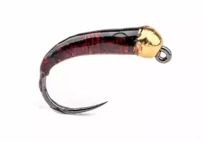 Glue Larva Brown Gold Bead - Vådfluer - 8859202512 - 1