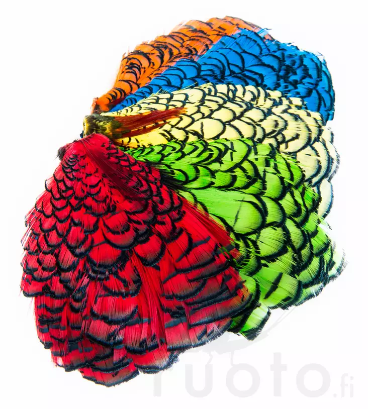 Lady Amherst Neck - Skind, vinger og hoved - 40400100012 - 1