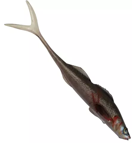 Jakki Kuha Aitokala Jigi 15cm - Lappefiskjigs - 22120251773 - 1