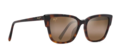 Maui Jim Kou - Tortoise Frame with HCL Bronze Lens - Glaslinser - 603429070953 - 1