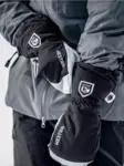 Hestra Army Leather Heli Ski Mitten - Handsker - 7332540615073 - 3