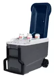 Igloo Maxcold R 38l Cooler Dark Gray - Kølekasser og -tasker - 0034223350253 - 5