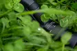 Leica Loom Eyepiece 25x - 50x WW ASPH. - Tubekikkerter - 4022243410213 - 3