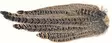 Hen Pheasant Complete Tail - Haler - 5056304604623 - 1