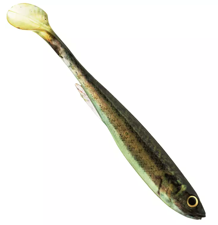 Daiwa Prorex Slim Shady 16cm Live - Lappefiskjigs - 173020253 - 1