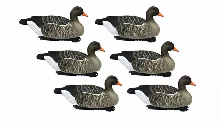 Final Approach Greylag Goose Floaters 6pcs - Lokkende billeder / -diagram - 728614276603 - 1