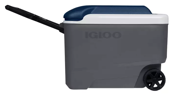 Igloo Maxcold R 38l Cooler Dark Gray - Kølekasser og -tasker - 0034223350253 - 1