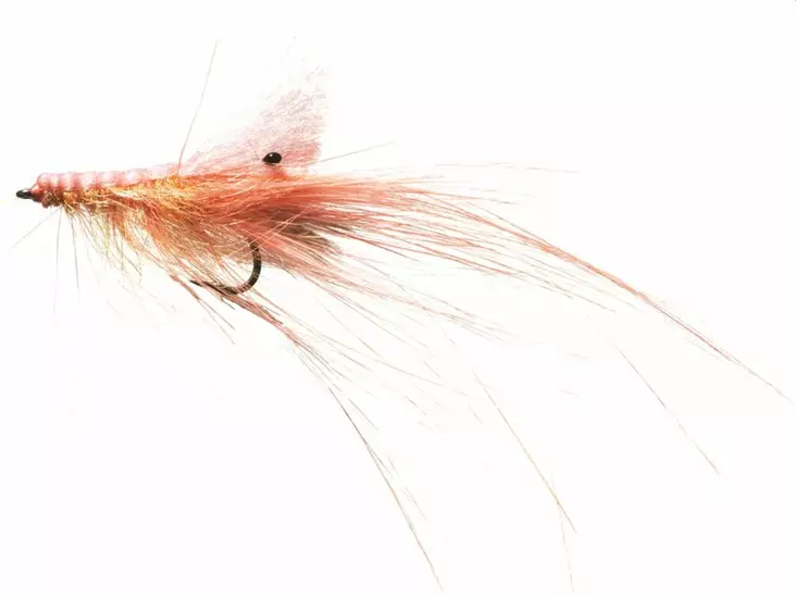 Pattegris Pink - Kræftrækjer - 5707549240533 - 1