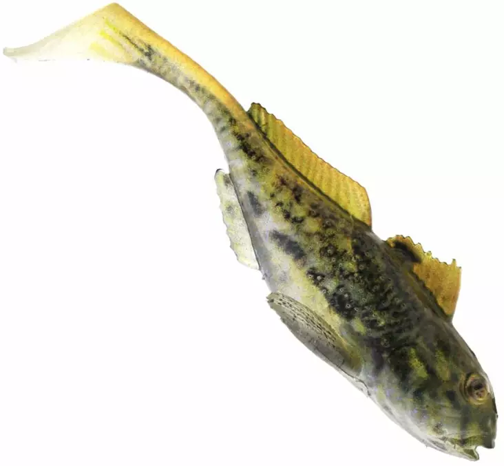 Westin Gunnar The Goby 6,5cm 3,5g 3pcs - Lappefiskjigs - 1730013 - 1