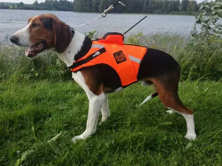 Tracker Kardog Jehu Koiraliivi - Hundjakker og -veste - A2900034 - 1