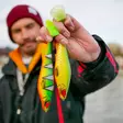 Pike shad 24cm 112g - Gummiagn til gedde - 2510202214 - 14