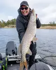 Pike shad 24cm 112g - Gummiagn til gedde - 2510202214 - 16