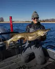 Pike shad 24cm 112g - Gummiagn til gedde - 2510202214 - 18
