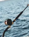 Daiwa Tanacom X 66XXHST - Havstænger til dybhavsfiskeri - 5055545247774 - 2