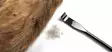 Hareline Ceramic Zirgonia Dubbing Rake - Dubningshjul og -børster - 762820208614 - 8