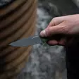 SOG Altair FX Field Green - Jagtknive - 729857013604 - 1