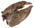 Veniard English Partridge Wings - Skind, vinger og hoved - 5056304603589 - 1