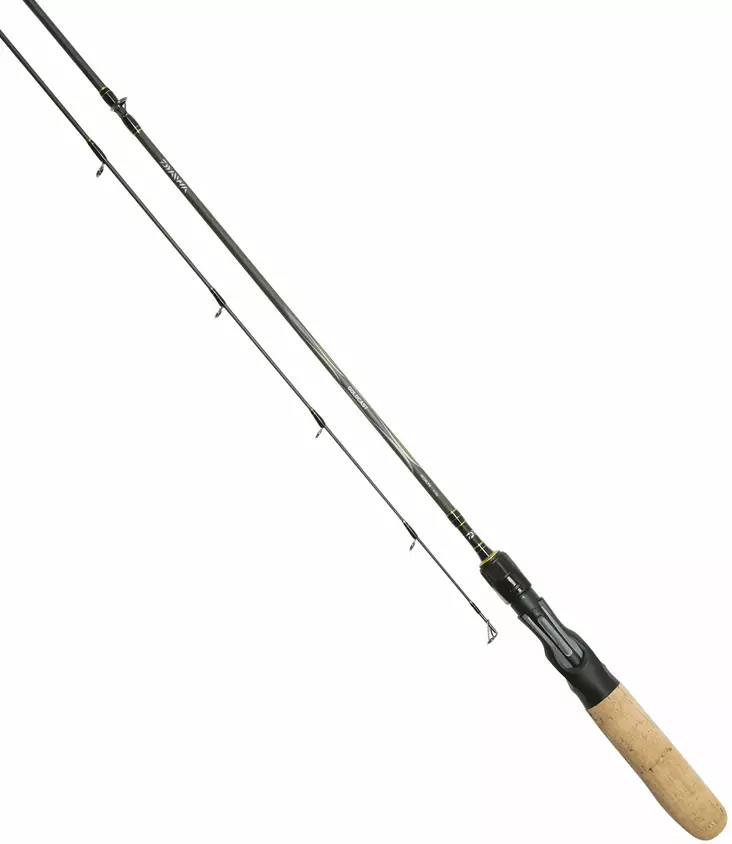 Daiwa Goldcast 602MB 10-30g - Daiwa-spinnestænger - 5055545203084 - 1