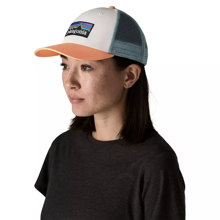 Patagonia P-6 Logo LoPro Trucke ALL WTPE - Truckere - 198077794684 - 1