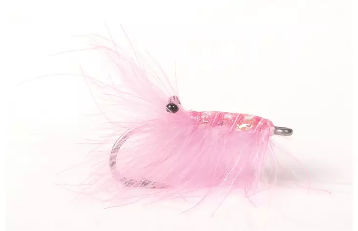 Runars Cdc Reke Pink - Kræftrækjer - 7033840121584 - 1
