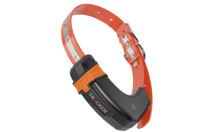 Tracker Luna - Tracker-hundesporer - 6438103003484 - 1