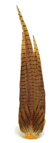 Veniard Cock Pheasant Complete Tail - Haler - 5056304604272 - 1