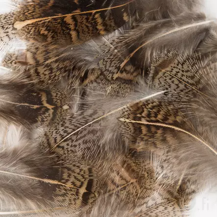 Veniard English Partridge Brown Back - Øvrige fjer - 5056304603459 - 2