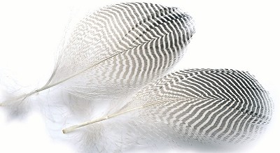Veniard Teal Flank Feathers - Øvrige fjer - 5056304604692 - 1