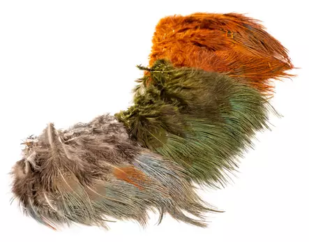 Wapsi Ringneck Pheasant Rump Hackle - Øvrige fjer - 404503000015 - 1