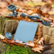Zeiss Secacam Solar-Panel Mini - Vildtkameraer - SC-030-015 - 4