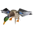 Avian-X Powerflight Mallard - Lokkende billeder / -diagram - 082271001795 - 1