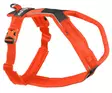 Non-stop Dogwear Line Harness 5.0 Orange - Hundeseler - 7071652021845 - 1