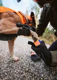Non-stop Dogwear Protector Bootie - Hundehalsbånd, seler og liner - 7071652013215 - 3