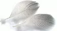 Veniard Teal Flank Feathers - Øvrige fjer - 5056304604692 - 1