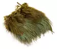 Wapsi Ringneck Pheasant Rump Hackle - Øvrige fjer - 404503000015 - 2