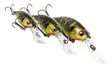 Westin BuzzBite Crankbait 4cm 4g - Vobler under 6 cm - 145155 - 1