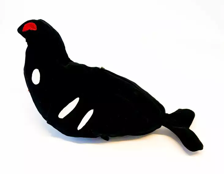 Bear Claw Samettiteeri - Lokkende billeder / -diagram - 6419773613555 - 1