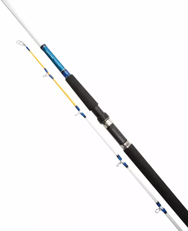 Daiwa Jupiter JTR602MH - Daiwa -trollingstænger - 5055161893065 - 1
