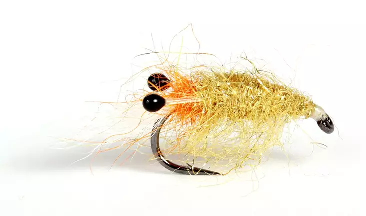 Hololoppa Shrimp - Kræftrækjer - 7033840130265 - 1