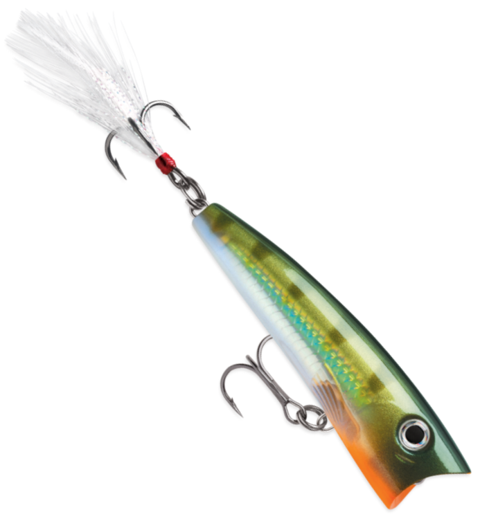 Rapala X-Rap Pop 7cm 11g - Overfladebehandlinger - 1730010045 - 1