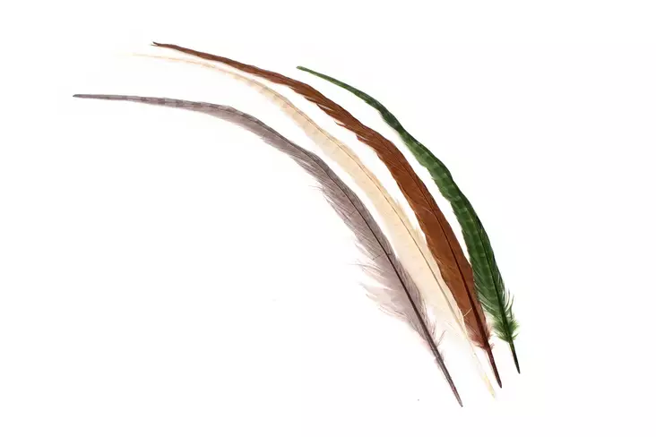 Silvergrey Cock Pheasant Centre Tails - Haler - 404503000025 - 1